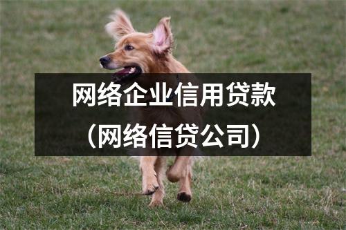 网络企业信用贷款（网络信贷公司）