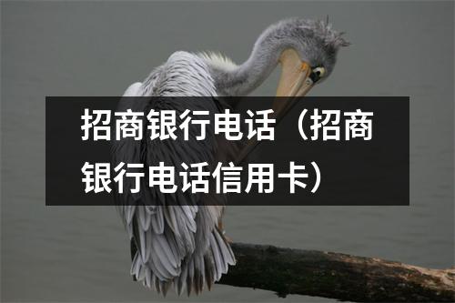 招商银行电话（招商银行电话信用卡）