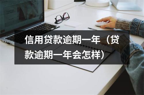 信用贷款逾期一年（贷款逾期一年会怎样）