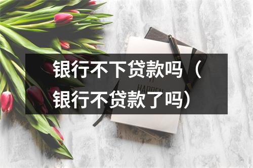 银行不下贷款吗（银行不贷款了吗）