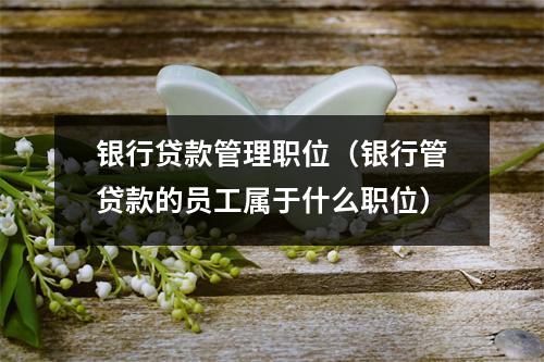 银行贷款管理职位（银行管贷款的员工属于什么职位）
