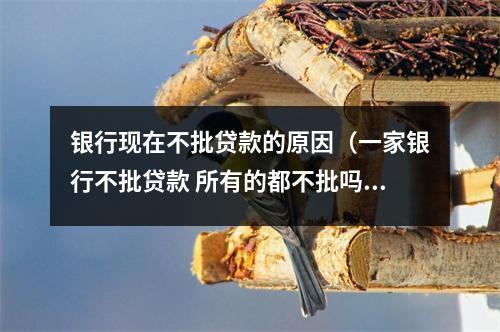 银行现在不批贷款的原因(一家银行不批贷款 所有的都不批吗)