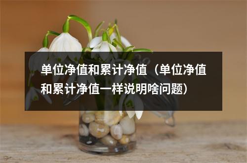 单位净值和累计净值（单位净值和累计净值一样说明啥问题）