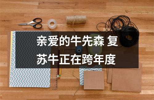 亲爱的牛先森 复苏牛正在跨年度
