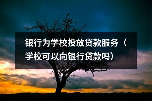 银行为学校投放贷款服务(学校可以向银行贷款吗)