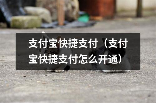 支付宝快捷支付（支付宝快捷支付怎么开通）