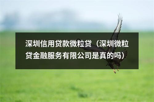 深圳信用贷款微粒贷（深圳微粒贷金融服务有限公司是真的吗）