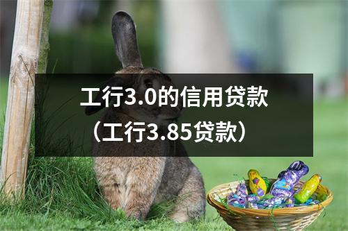 工行3.0的信用贷款（工行3.85贷款）