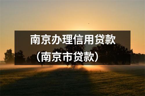 南京办理信用贷款（南京市贷款）