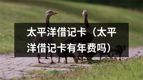 太平洋借记卡（太平洋借记卡有年费吗）
