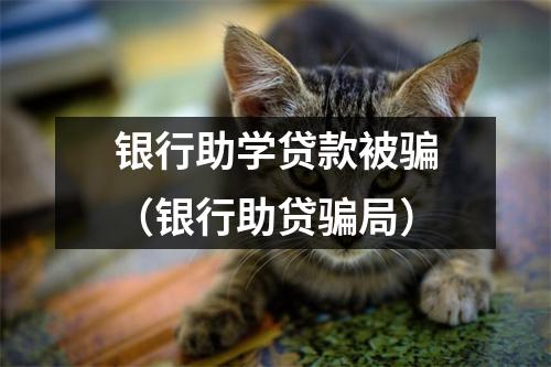 银行助学贷款被骗(银行助贷骗局)