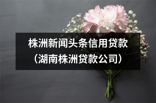 株洲新闻头条信用贷款（湖南株洲贷款公司）