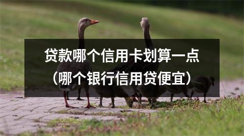 贷款哪个信用卡划算一点（哪个银行信用贷便宜）