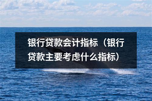 银行贷款会计指标（银行贷款主要考虑什么指标）