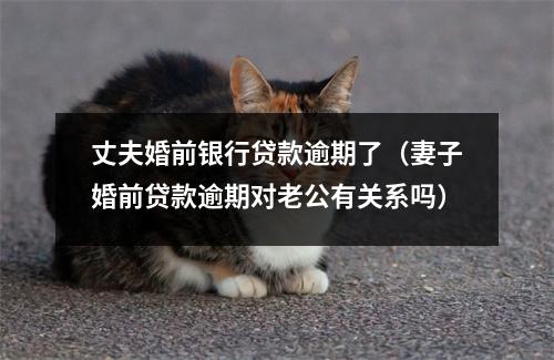 丈夫婚前银行贷款逾期了（妻子婚前贷款逾期对老公有关系吗）