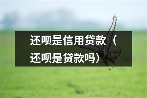 还呗是信用贷款（还呗是贷款吗）