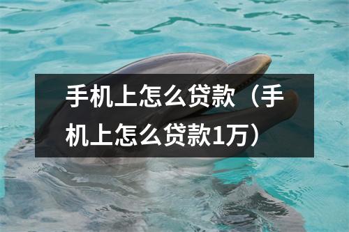手机上怎么贷款（手机上怎么贷款1万）
