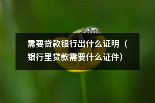 需要贷款银行出什么证明（银行里贷款需要什么证件）