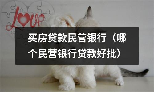 买房贷款民营银行(哪个民营银行贷款好批)