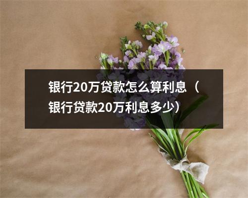 银行20万贷款怎么算利息（银行贷款20万利息多少）