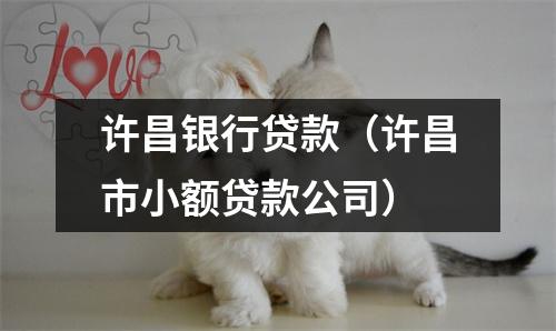 许昌银行贷款（许昌市小额贷款公司）