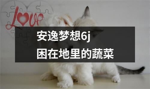 安逸梦想6j 困在地里的蔬菜