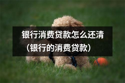 银行消费贷款怎么还清（银行的消费贷款）