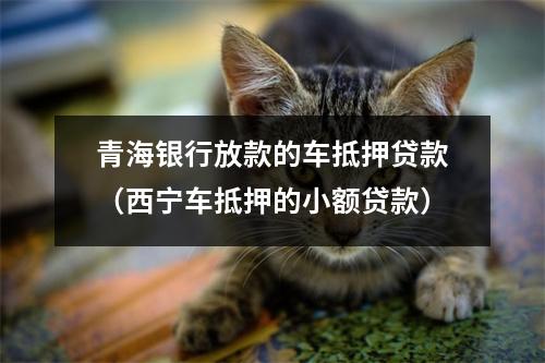 青海银行放款的车抵押贷款（西宁车抵押的小额贷款）