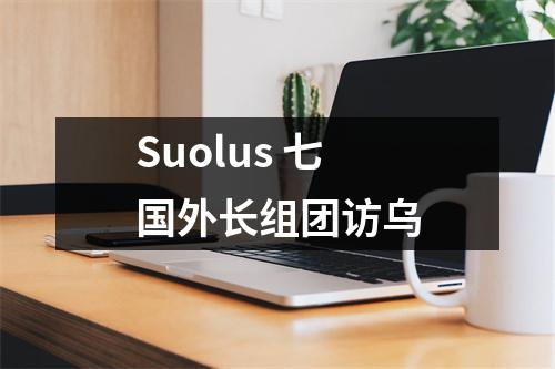 Suolus 七国外长组团访乌
