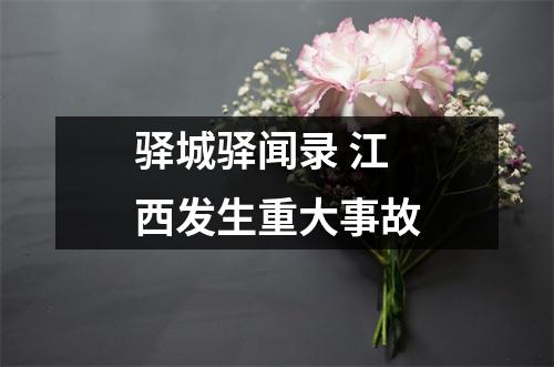 驿城驿闻录 江西发生重大事故
