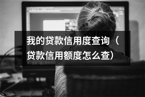 我的贷款信用度查询（贷款信用额度怎么查）