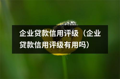 企业贷款信用评级(企业贷款信用评级有用吗)