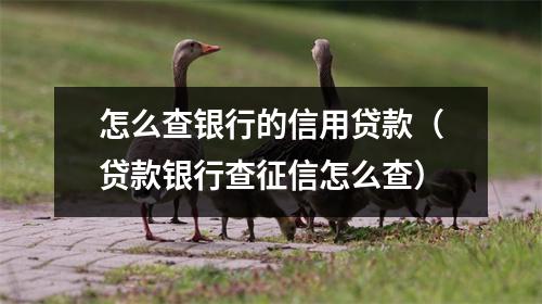 怎么查银行的信用贷款（贷款银行查征信怎么查）