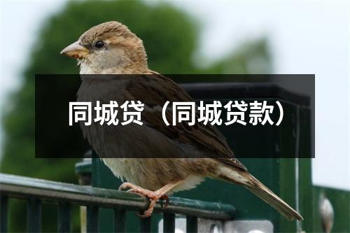 同城贷（同城贷款）