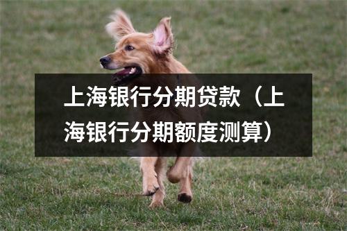 上海银行分期贷款（上海银行分期额度测算）