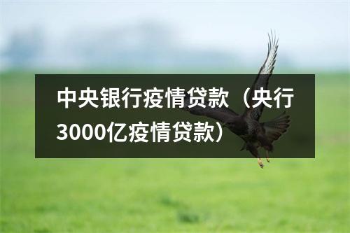 中央银行疫情贷款（央行3000亿疫情贷款）