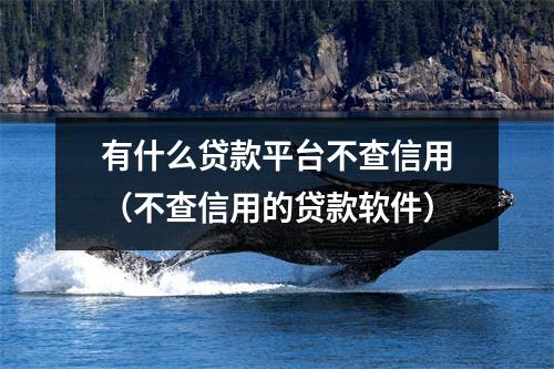 有什么贷款平台不查信用（不查信用的贷款软件）