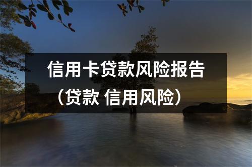 信用卡贷款风险报告（贷款 信用风险）