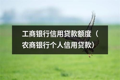 工商银行信用贷款额度（农商银行个人信用贷款）