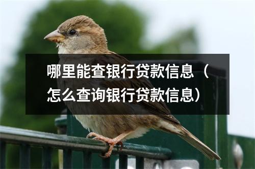哪里能查银行贷款信息（怎么查询银行贷款信息）