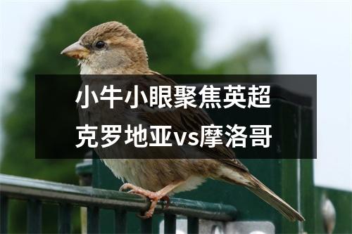 小牛小眼聚焦英超 克罗地亚vs摩洛哥