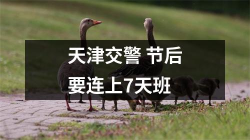 天津交警 节后要连上7天班