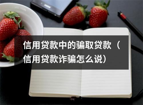 信用贷款中的骗取贷款（信用贷款诈骗怎么说）