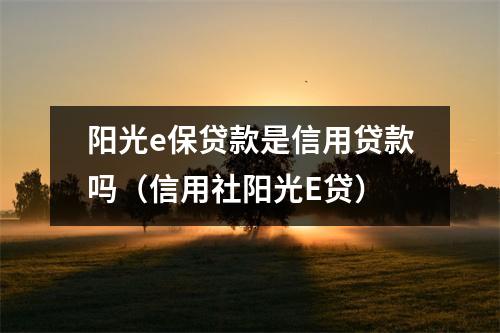 阳光e保贷款是信用贷款吗（信用社阳光E贷）