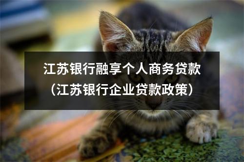 江苏银行融享个人商务贷款（江苏银行企业贷款政策）