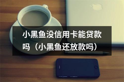 小黑鱼没信用卡能贷款吗（小黑鱼还放款吗）