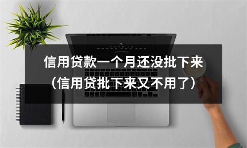 信用贷款一个月还没批下来（信用贷批下来又不用了）