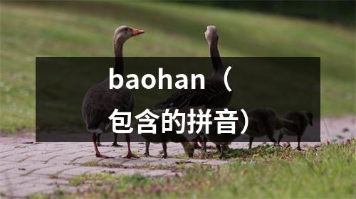 baohan(包含的拼音)