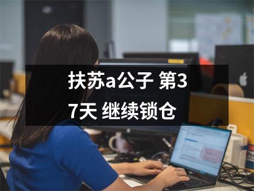 扶苏a公子 第37天 继续锁仓