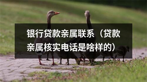 银行贷款亲属联系（贷款亲属核实电话是啥样的）